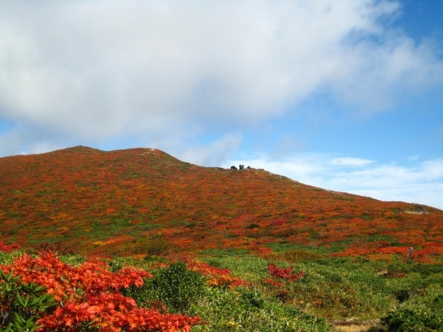 栗駒山