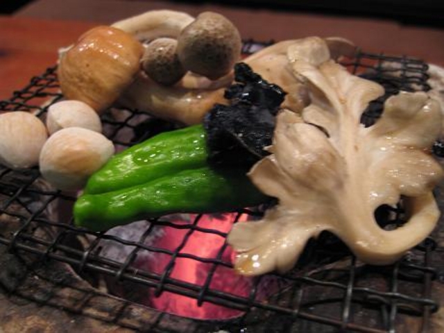 飛騨季節料理 肴