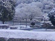 neko0104さんの千波湖遊歩道の投稿写真1