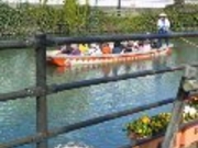 向日葵さんの柳川古文書館の投稿写真1