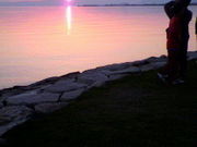 バニラさんの長浜市の投稿写真1