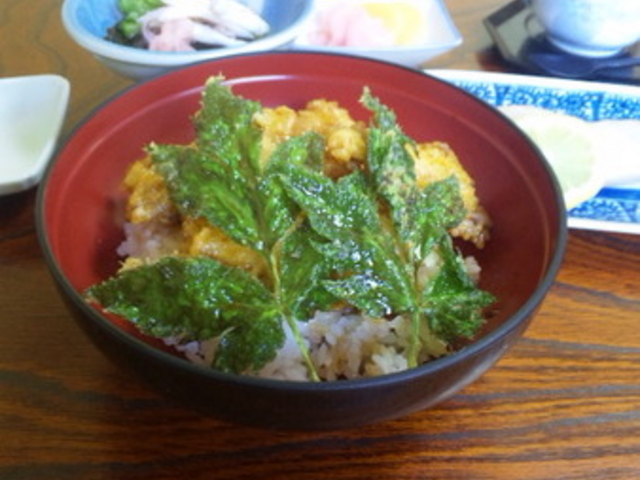 伊豆の味処 しゃらく亭