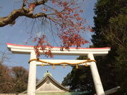 すずき山さんの大塔宮 鎌倉宮の投稿写真1