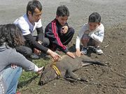 みつちゃんさんの瀬ノ本高原の投稿写真1