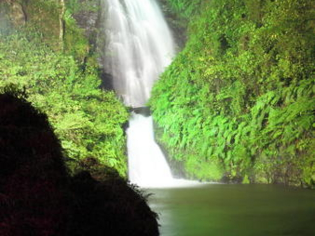 pipitonaさんの藤本滝の投稿写真1