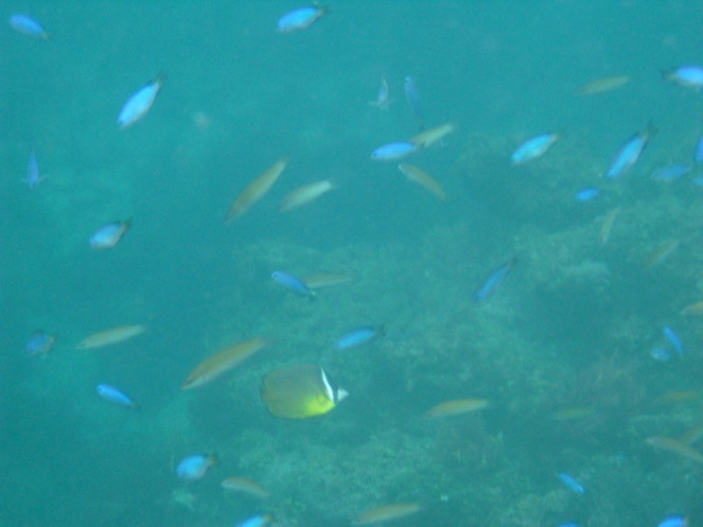 ヒリゾ浜