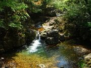 りりぃさんの裏匹見峡の投稿写真1