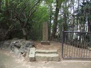 雷雷クーンさんの千葉城跡の投稿写真1