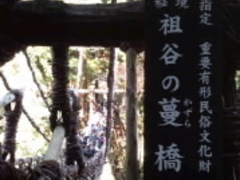 祖谷のかずら橋の写真1