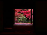 yoshitakepさんの金剛輪寺の投稿写真1