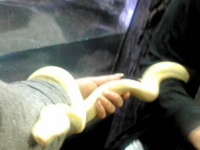体感型動物園 iZoo