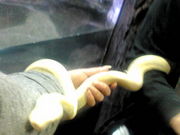 夜空さんの体感型動物園 iZooの投稿写真1