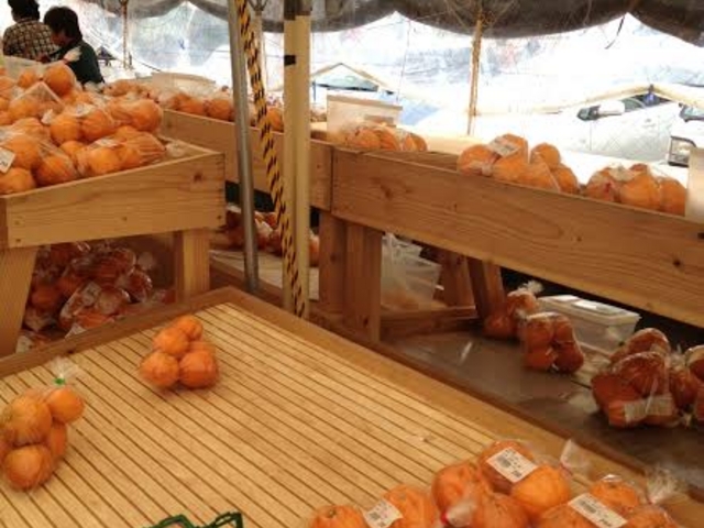 色々な蜜柑が試食も出来て美味しいです!_道の駅 太良 たらふく館