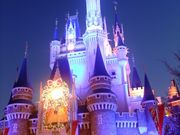 リュウさんの東京ディズニーランド(R)の投稿写真2