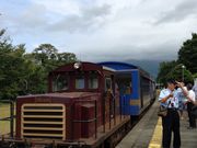 ミキさんの南阿蘇鉄道トロッコ列車の投稿写真1