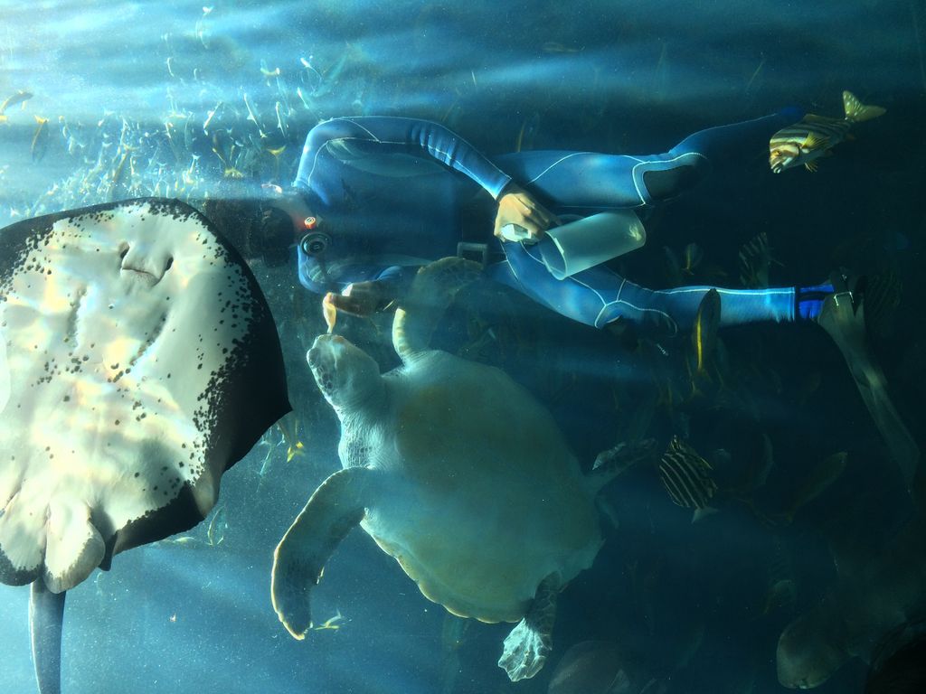 下田海中水族館