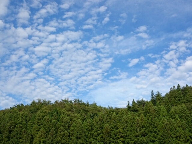 かたつむりくんさんの及甚と源氏ボタル交流館の投稿写真1