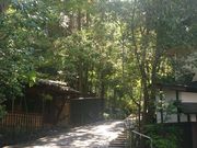 はなさんの山のホテル 夢想園の投稿写真1