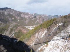 ゆみぶさんの上野スカイブリッジへの投稿写真1