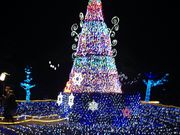 しおりんさんの高知城の投稿写真4