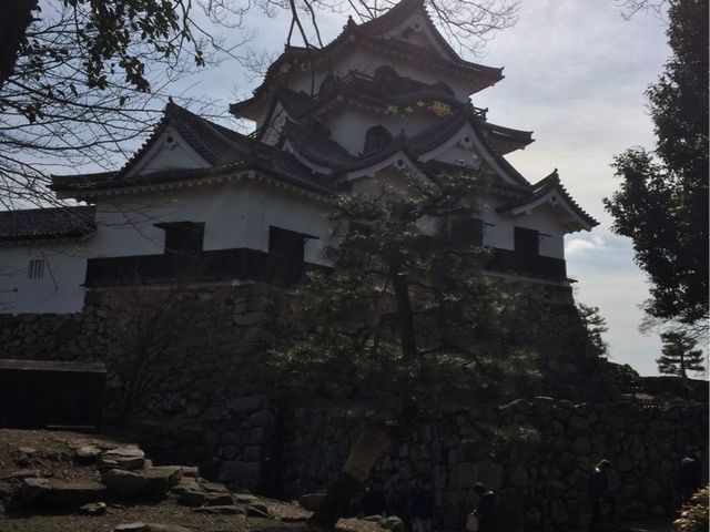 奥琵琶湖パークウェイ