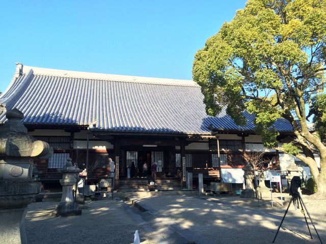 大樹寺 本堂_大樹寺