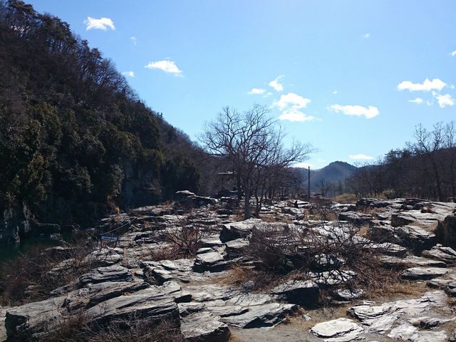 岩畳3_長瀞岩畳