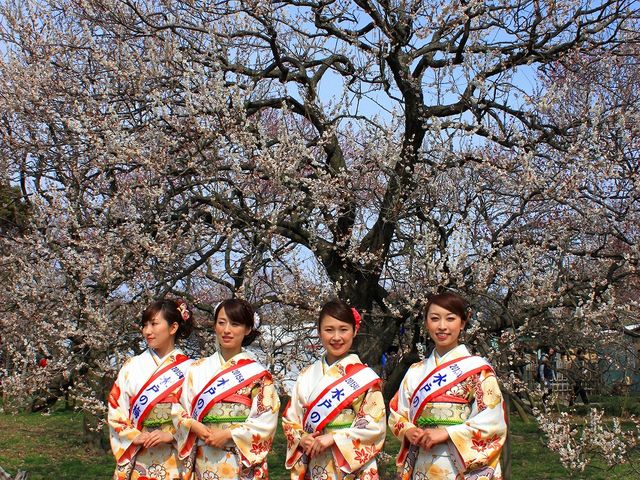 偕楽園梅林で梅大使の綺麗どころが勢ぞろい_常磐神社