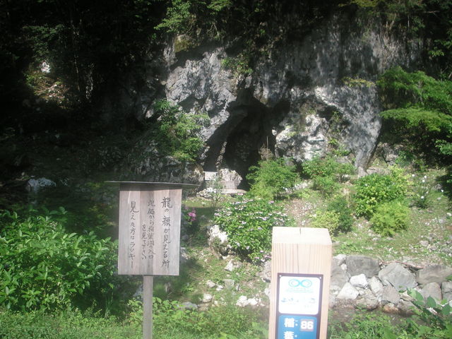 ひろさんの稲葉洞の投稿写真1