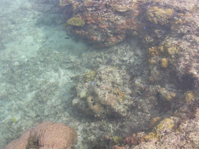 仲本海岸