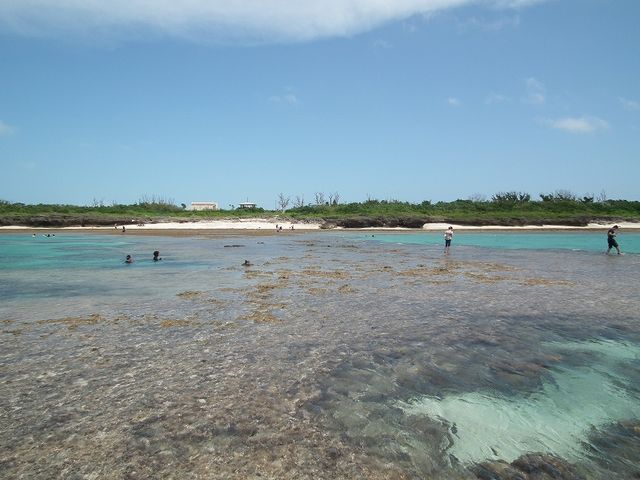 リーフ際から_仲本海岸
