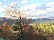 あかりんさんの朽木スキー場の投稿写真1