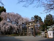 ルパン7777777さんの大石神社の投稿写真3