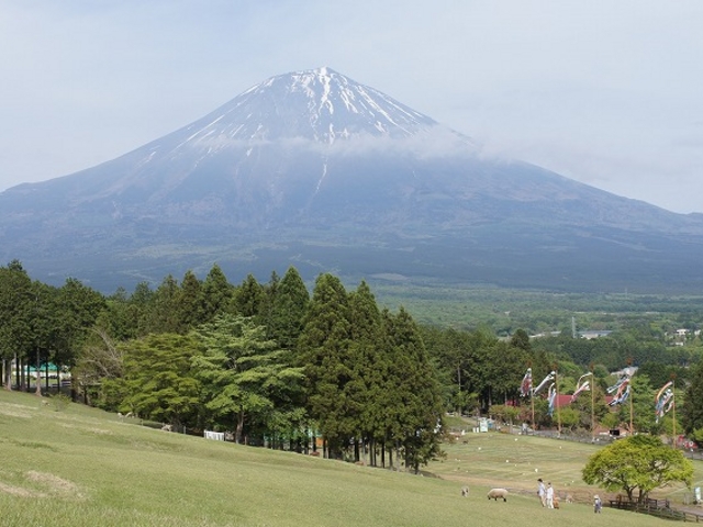 放牧場からの眺め_まかいの牧場