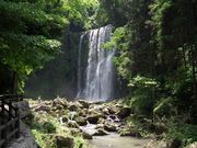 ヤッシーさんの桜滝の投稿写真3