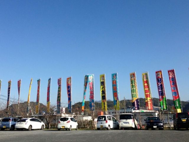 大相撲のぼり_もちだんご村本舗もち吉