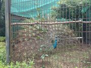 kimiyさんの智光山公園の投稿写真3