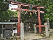 sklfhさんの松尾神社の投稿写真1