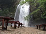 たくちゃんさんの明治の森箕面国定公園(箕面の滝)の投稿写真1