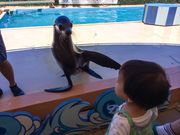 manoさんのあわしまマリンパークの投稿写真1