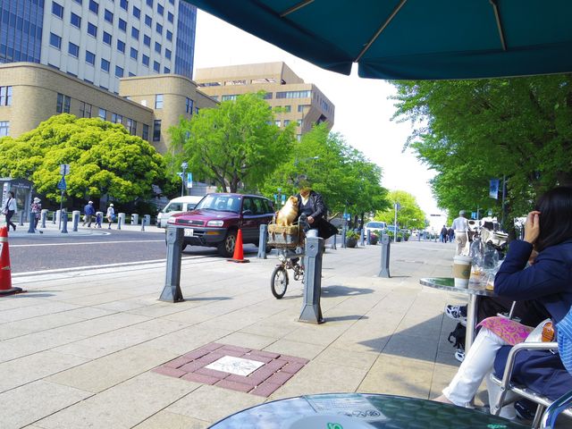 大通り公園