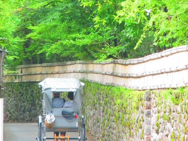 しっとりした雰囲気がステキな
小道と人力車_人力車えびす屋湯布院