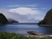 sklfhさんの東港の投稿写真1