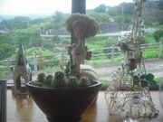 やまさんの草枕温泉てんすいの投稿写真3