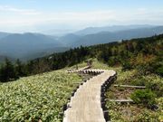 岳さんの四阿山の投稿写真2