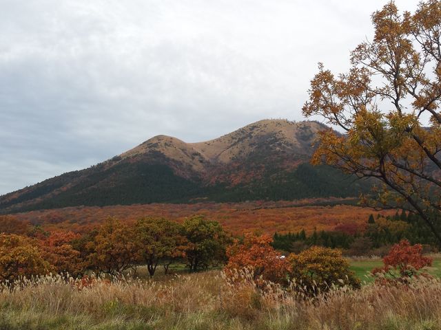くじゅう森林公園スキー場