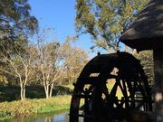 ギグスさんの大王わさび農場(大王神社付近)の投稿写真2