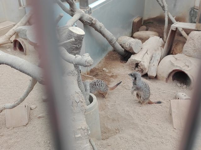 飯田市立動物園