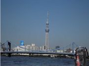 しのぶさんの清洲橋の投稿写真1