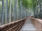 キヨさんのあだし野念仏寺の投稿写真3